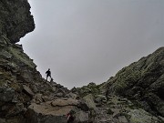 Fiori sui sentieri, stambecchi e anche ...nebbia alla Bocca di Trona-1giu22- FOTOGALLERY